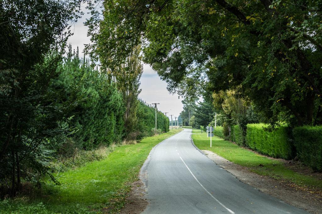 Mount Thomas Road B&B Рангиора Экстерьер фото
